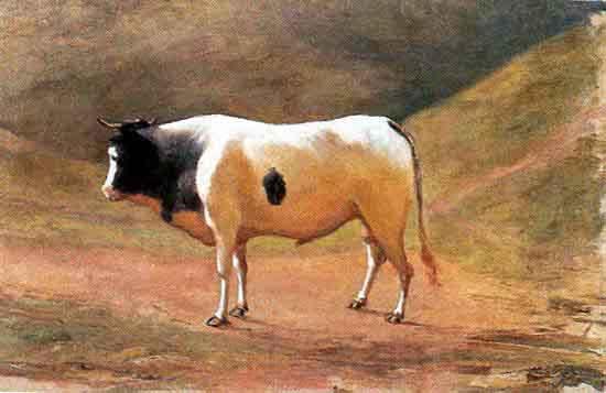 Benedito Calixto Ox grazing Germany oil painting art